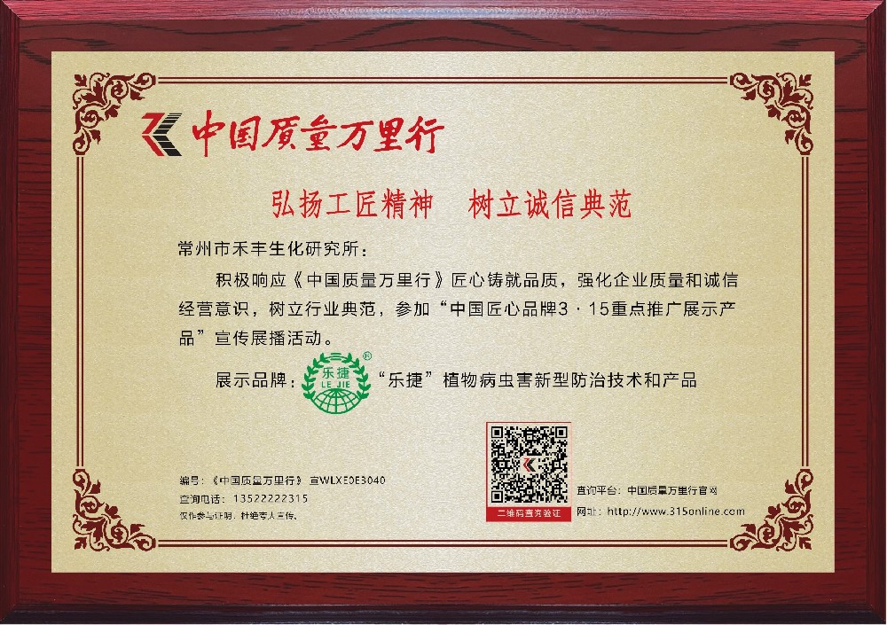 荣誉证书